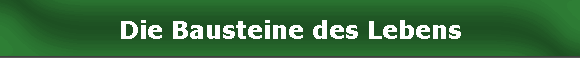 Die Bausteine des Lebens